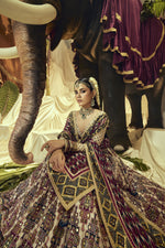 Load image into Gallery viewer, Lehenga 2 AC-1051