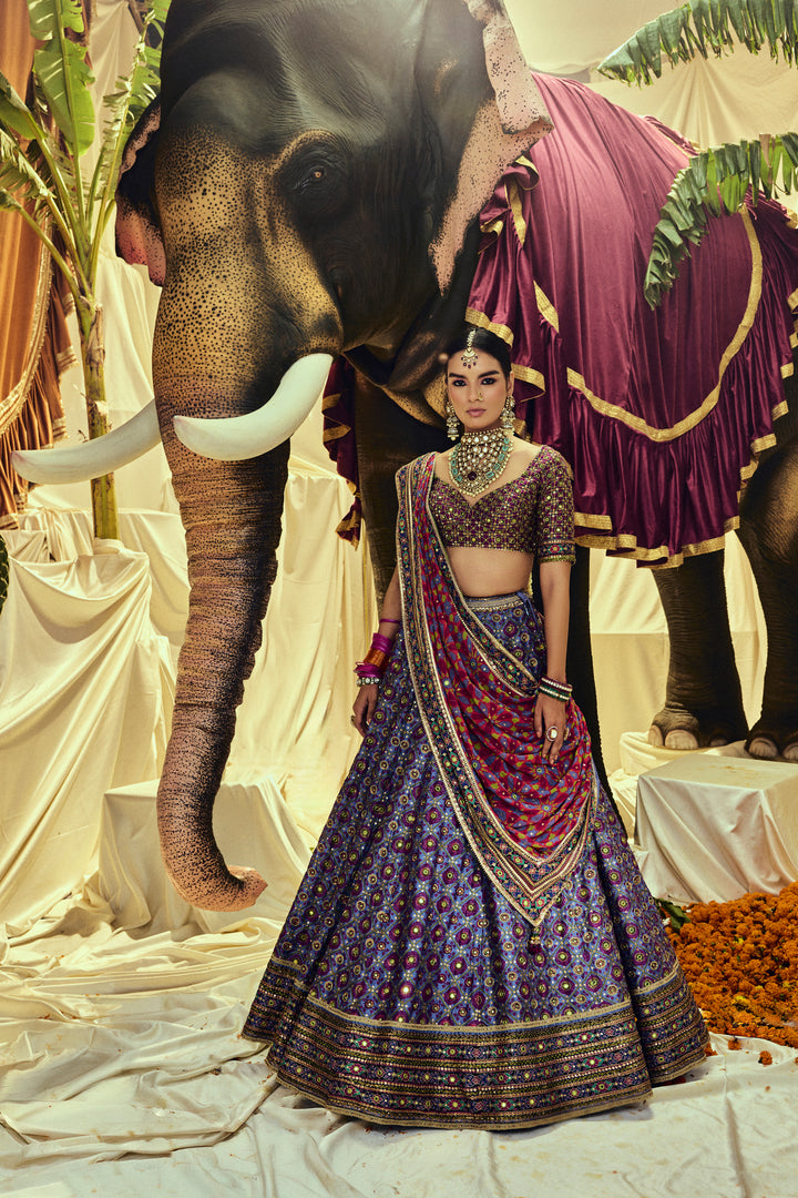 Sansari Mirrorwork Lehenga Set