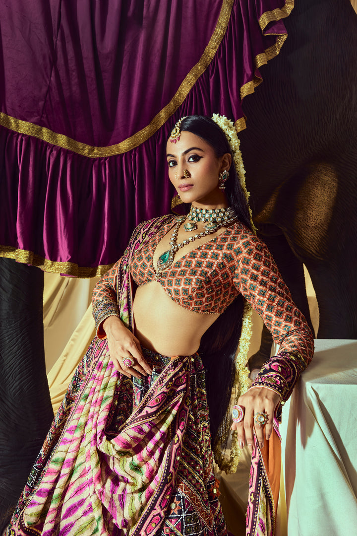 Chandrika MirrorWork Lehenga Set