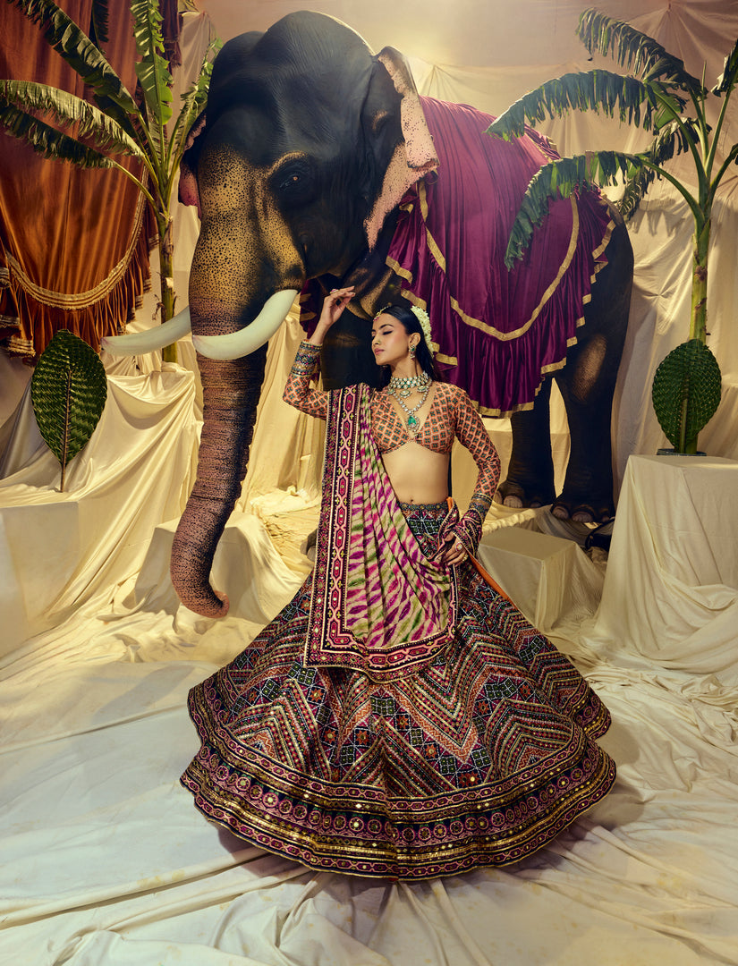 Chandrika MirrorWork Lehenga Set