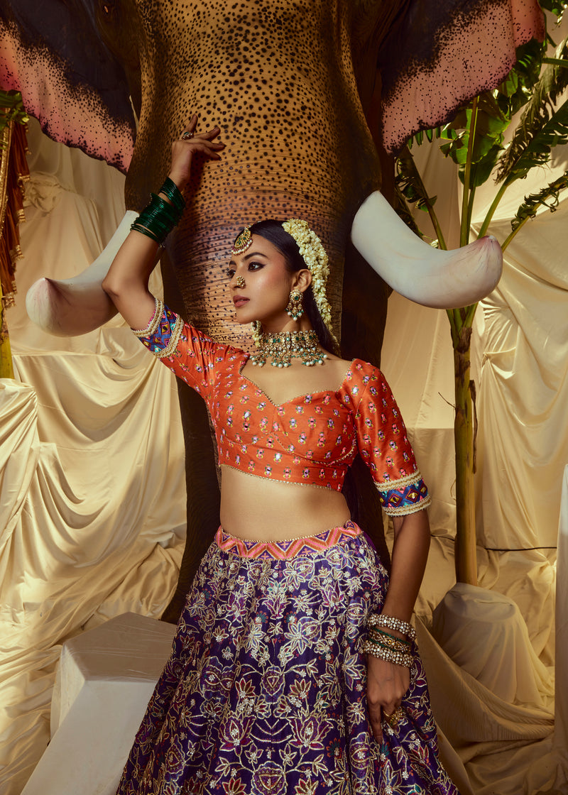 Indrani Mirrorwork Lehenga set
