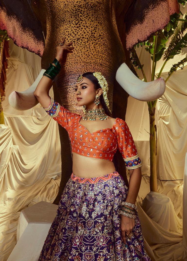 Indrani Mirrorwork Lehenga set