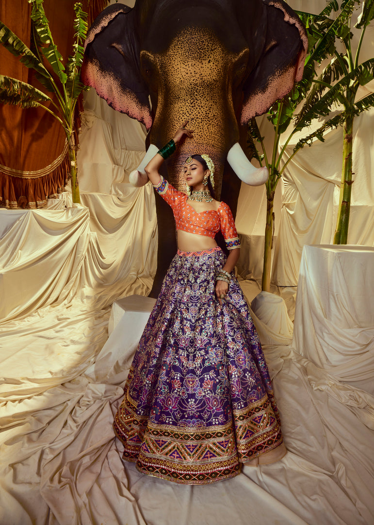 Indrani Mirrorwork Lehenga set