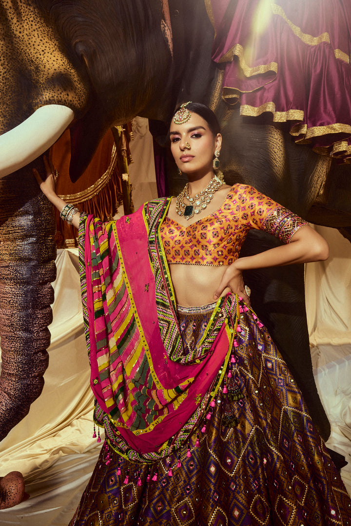 Divyani Mirrorwork Lehenga set
