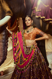Divyani Mirrorwork Lehenga set