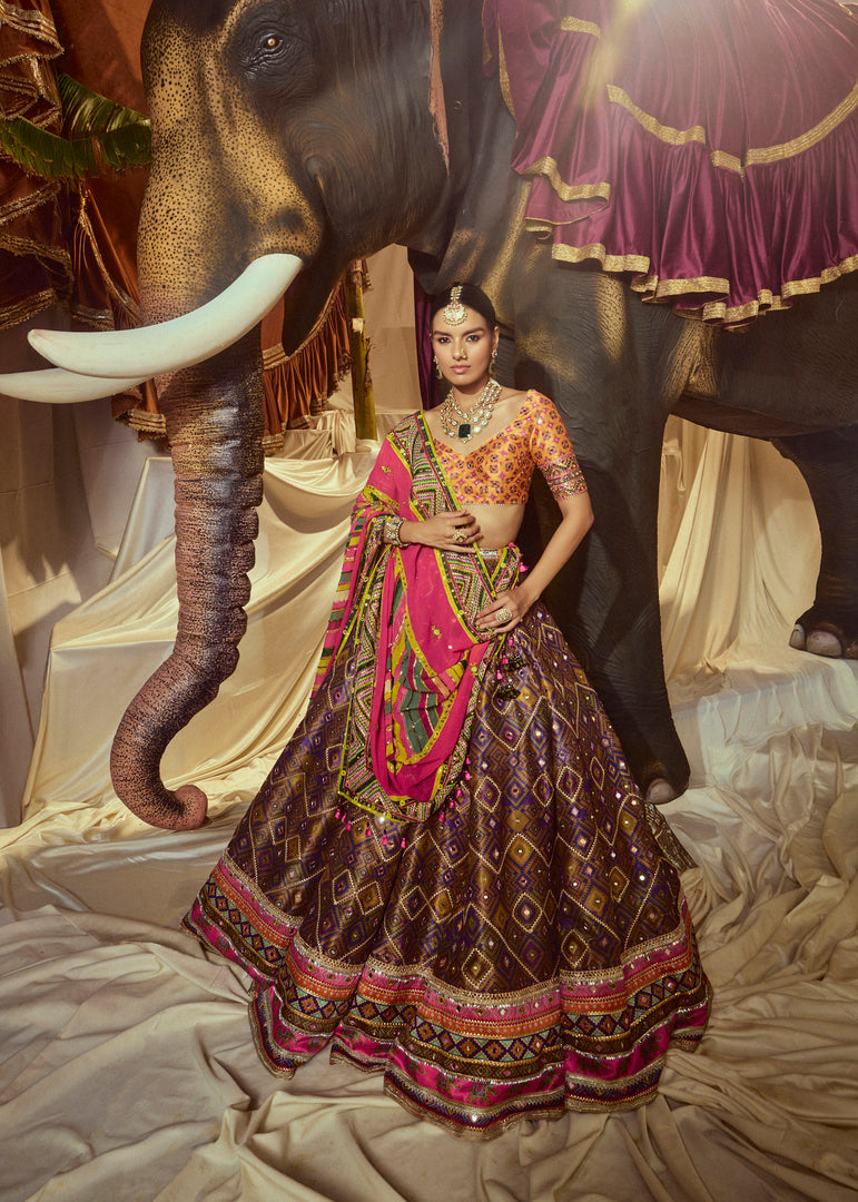 Divyani Mirrorwork Lehenga set
