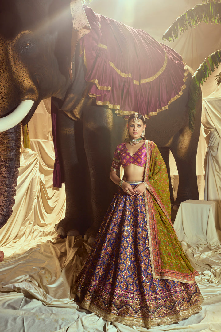 Rangrez MirrorWork Lehenga Set