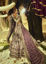 Load image into Gallery viewer, Lehenga 2 AC-1051
